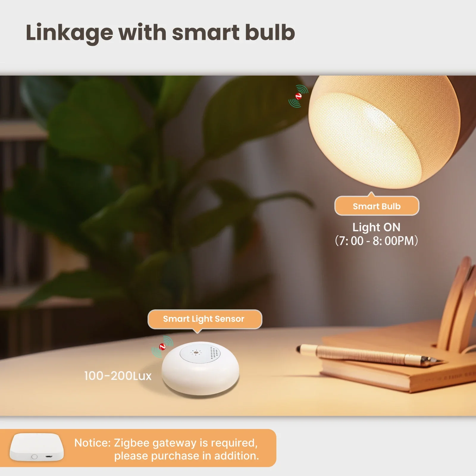 MOES Tuya Zigbee Smart Light S - Home Automation Technology บทวิจารณ์และราคา